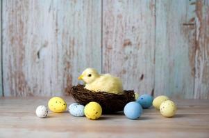 Easter greeting card with yellow chicken in the nest. Place for text photo