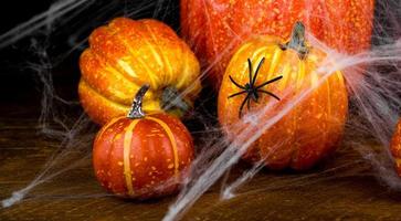 Mysterious halloween background with pumpkins covered in web with spiders.Selective focus.October 31 concept photo