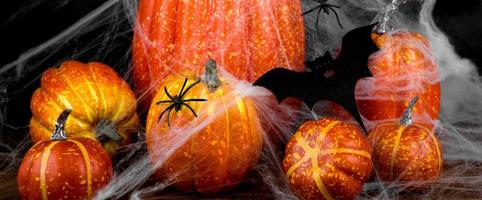 halloween and holiday decorations concept bat on spider web covering pumpkins photo