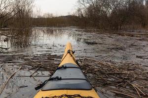 Flooded Meadows in Spring photo