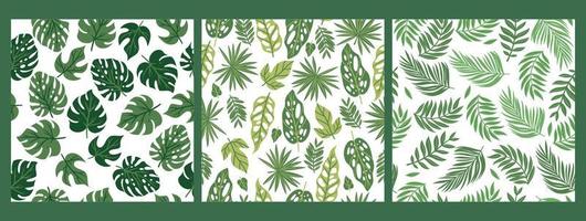 Set of patterns with tropical leaves. Vector graphics.