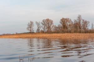 Flooded Meadows in Spring photo