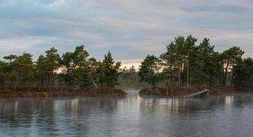 Spring in the swamp lakes photo