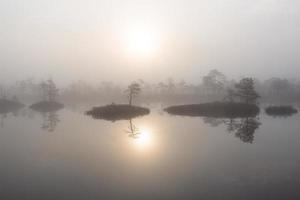 Spring in the swamp lakes photo