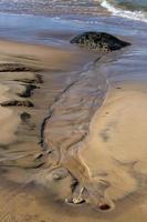 Patterns in The Beach Sand photo