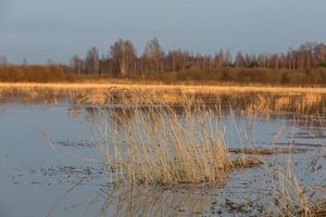 Flooded Meadows in Spring photo