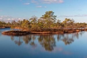 Spring in the swamp lakes photo