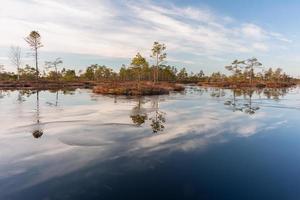 Spring in the swamp lakes photo