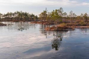 Spring in the swamp lakes photo