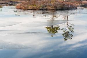 Spring in the swamp lakes photo