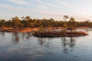 Spring in the swamp lakes photo