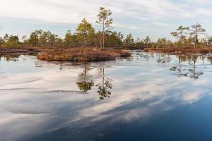 Spring in the swamp lakes photo