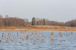 Flooded Meadows in Spring photo