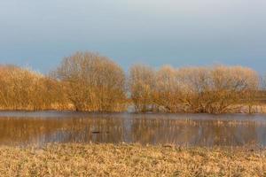 Flooded Meadows in Spring photo