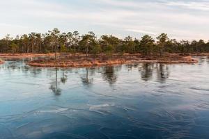 Spring in the swamp lakes photo