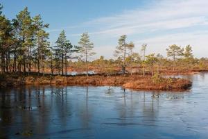 Spring in the swamp lakes photo