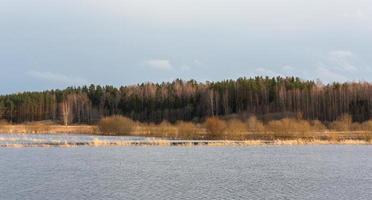 Flooded Meadows in Spring photo