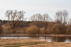 Flooded Meadows in Spring photo