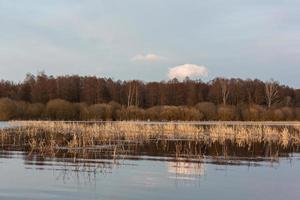 Flooded Meadows in Spring photo