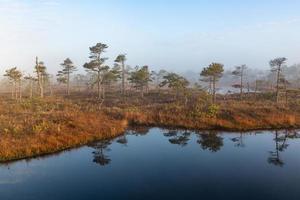 Spring in the swamp lakes photo