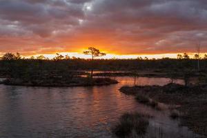 Spring in the swamp lakes photo