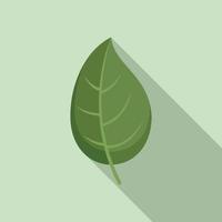 Basil leaf icon flat vector. Herb leaves vector