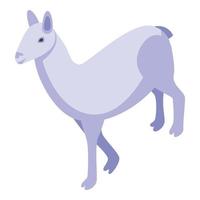 vector isométrico de icono de animal blanco. lindo lama