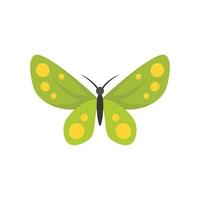 Plant butterfly icon flat isolated vector