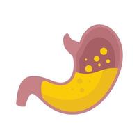 Stomach icon flat isolated vector