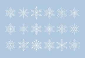 Snowflake icon or sign symbol special collection. Vector illustration