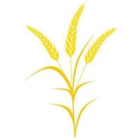 Wheat tree vector illustration isolated on white background. Cereal crops are used as a staple food.