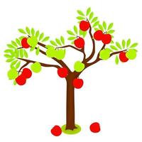 Apple tree with red and green fruits isolated on white background. Fruit farming concept with green leafy trees. Vector illustration