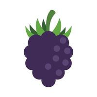 Sweet blackberry icon flat isolated vector