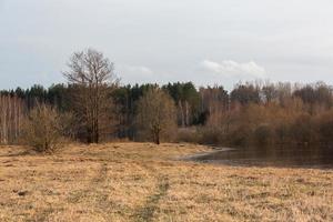 Flooded Meadows in Spring photo