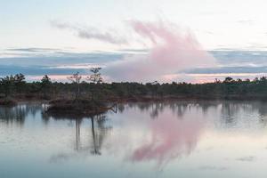 Spring in the swamp lakes photo