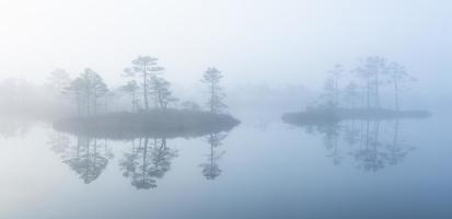 Spring in the swamp lakes photo