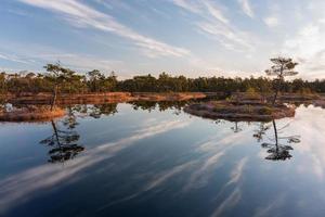 Spring in the swamp lakes photo