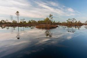 Spring in the swamp lakes photo