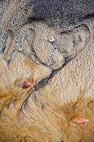 Patterns in The Beach Sand photo