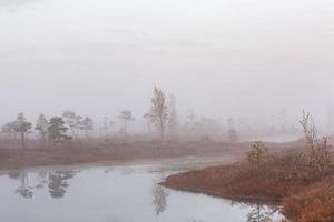 Spring in the swamp lakes photo