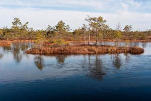 Spring in the swamp lakes photo