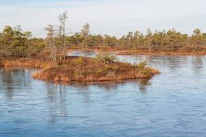 Spring in the swamp lakes photo