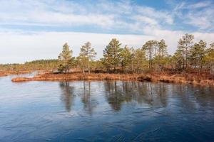 Spring in the swamp lakes photo