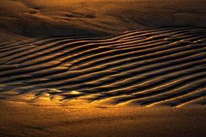 Patterns in The Beach Sand photo