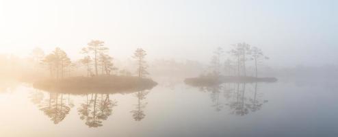 Spring in the swamp lakes photo