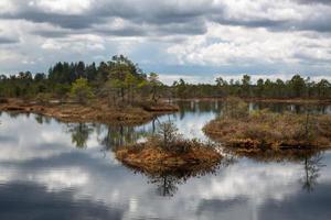 Spring in the swamp lakes photo