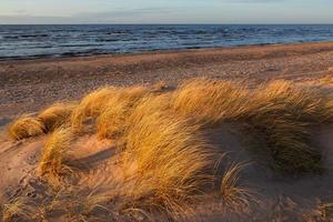 Baltic Sea Coast With Pebbles And Ice at Sunset photo