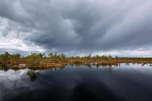 primavera en los lagos pantanosos foto