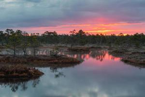 Spring in the swamp lakes photo