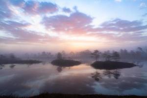 Spring in the swamp lakes photo